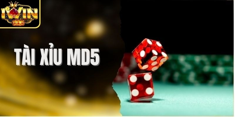 Tài Xỉu MD5 Iwin - Đỉnh Cao Thuật Toán Mã Hóa Hiện Đại 1 Giới thiệu chung về game tài xỉu MD5 Iwin